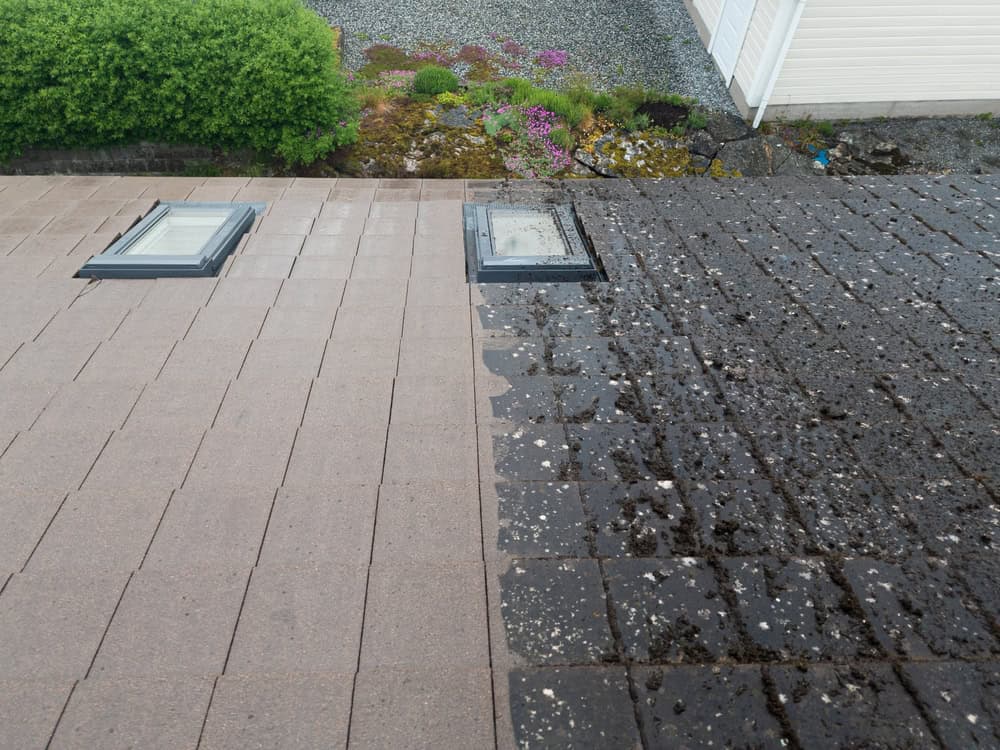 A roof in need of shingle rejuvenation shows a stark contrast: a clean area with light brown shingles on the left and a moss-covered section on the right. Each section features a skylight, while a vibrant garden provides an inviting backdrop. Perfect for roof cleaning in Franklin County, OH.