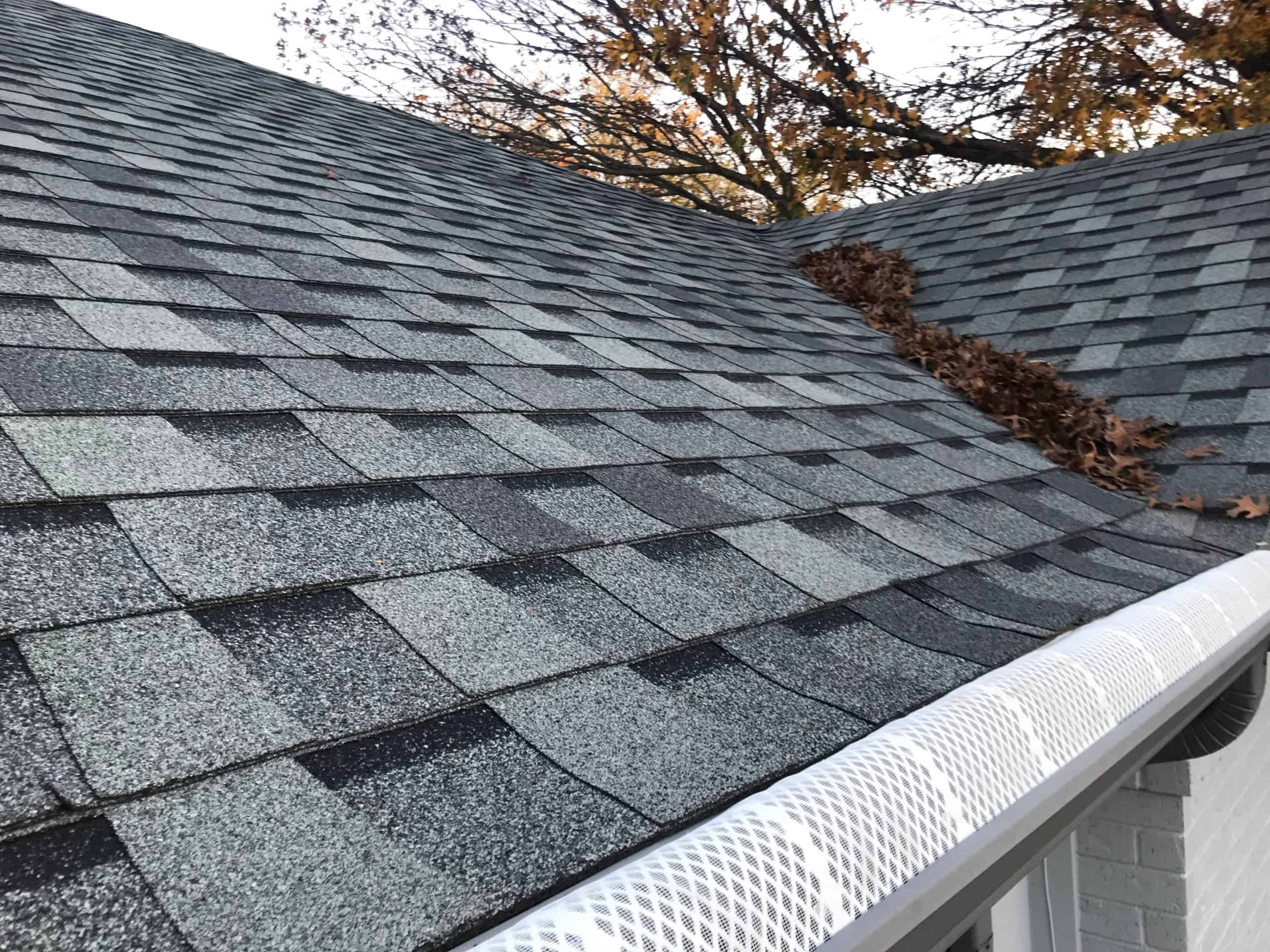 A roof with grey shingles has a pile of dried leaves collected in a valley between two slopes. A white gutter with a mesh guard is visible along the edge. In the background, bare branches from a tree are seen.
